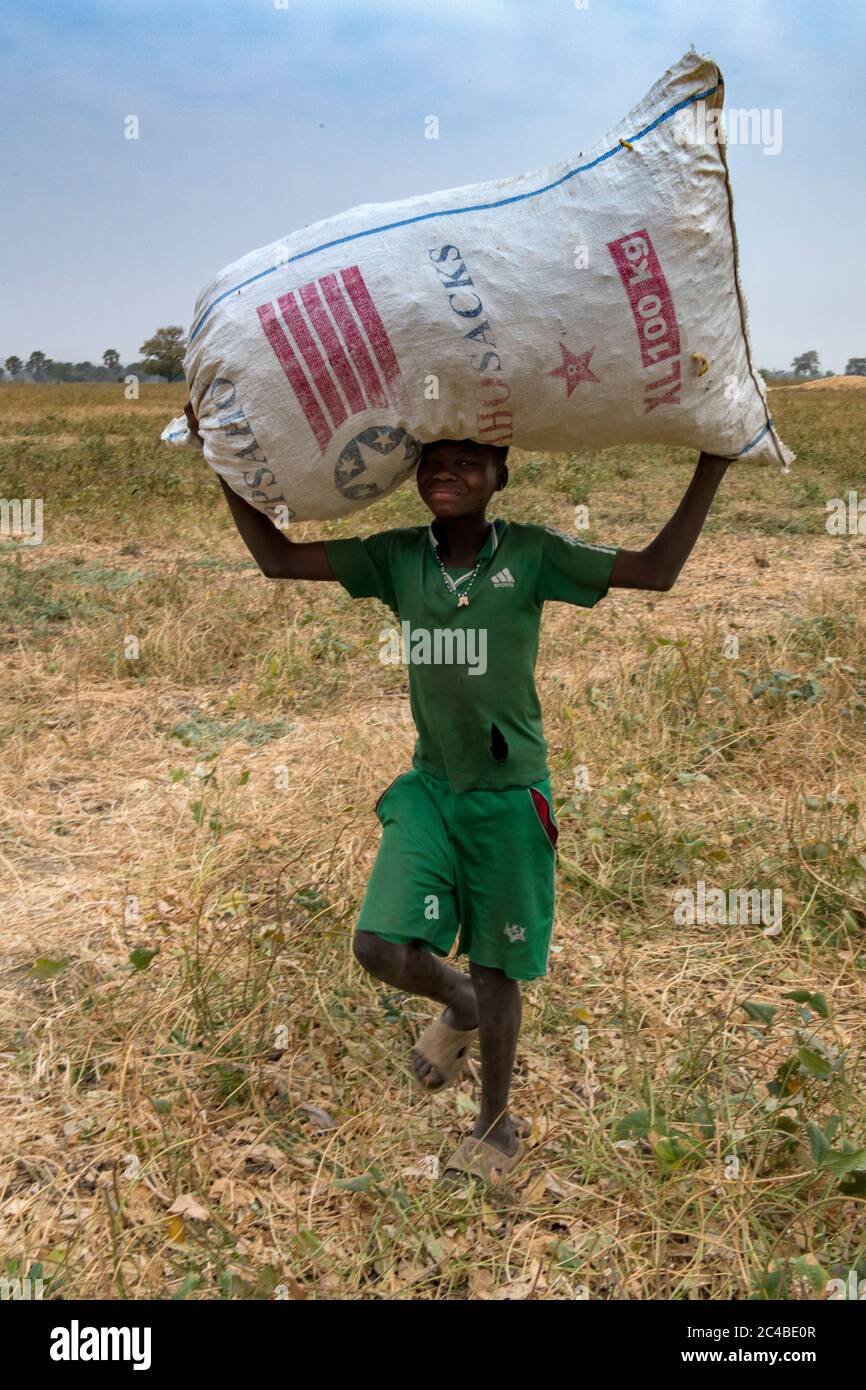 Afrique afrique Banque D'Images