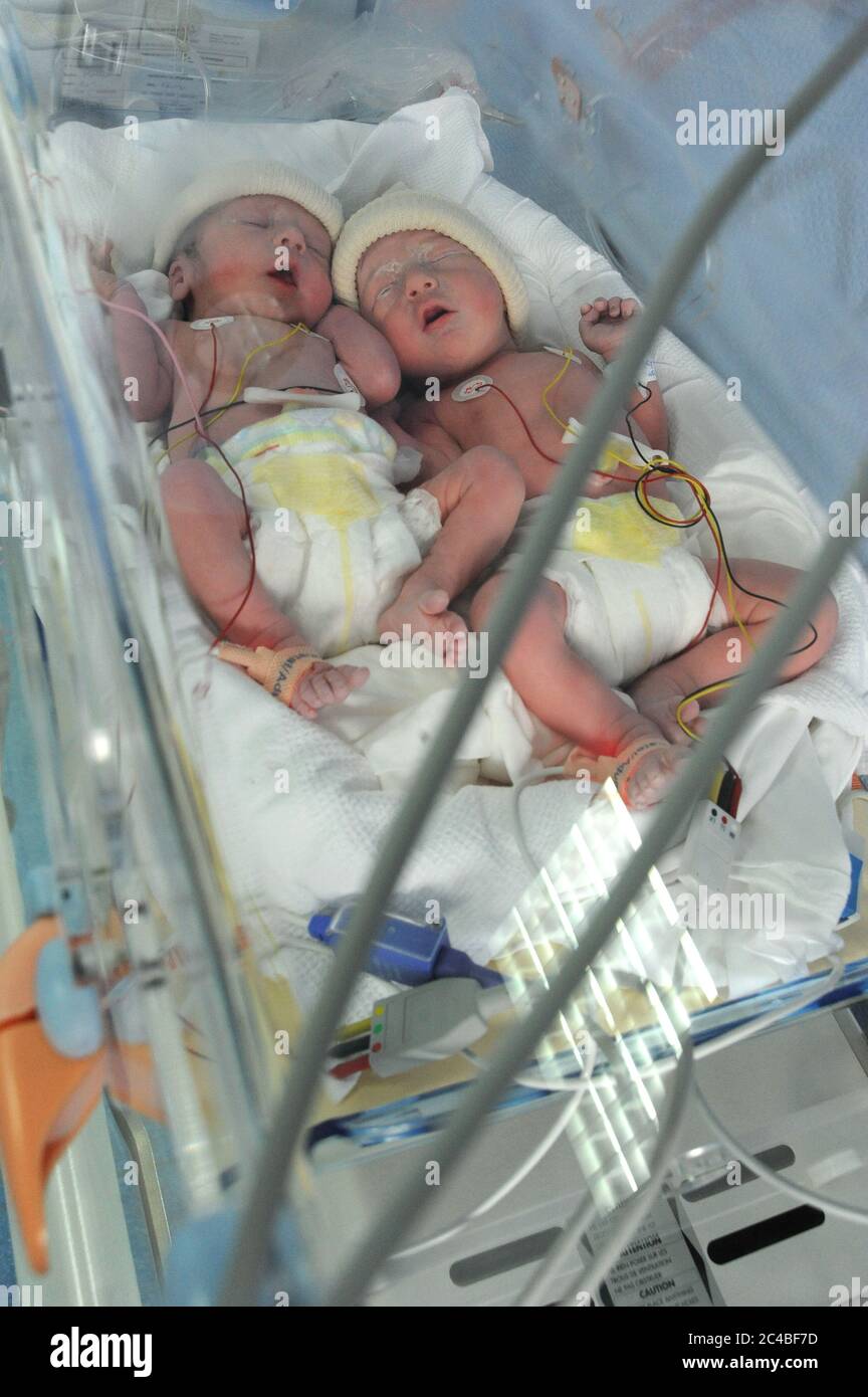 Rapport A L Hopital De Maternite D Abbeville Departement De La Somme Naissance De Jumeaux Par Cesarienne Les Jumeaux Places Dans L Incubateur Sont Pris Photo Stock Alamy
