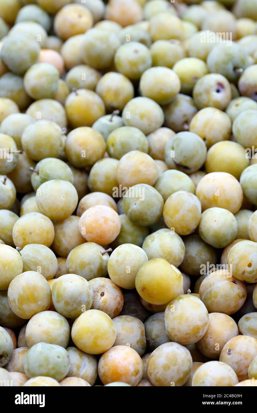 Prunes biologiques à vendre sur le marché Banque D'Images