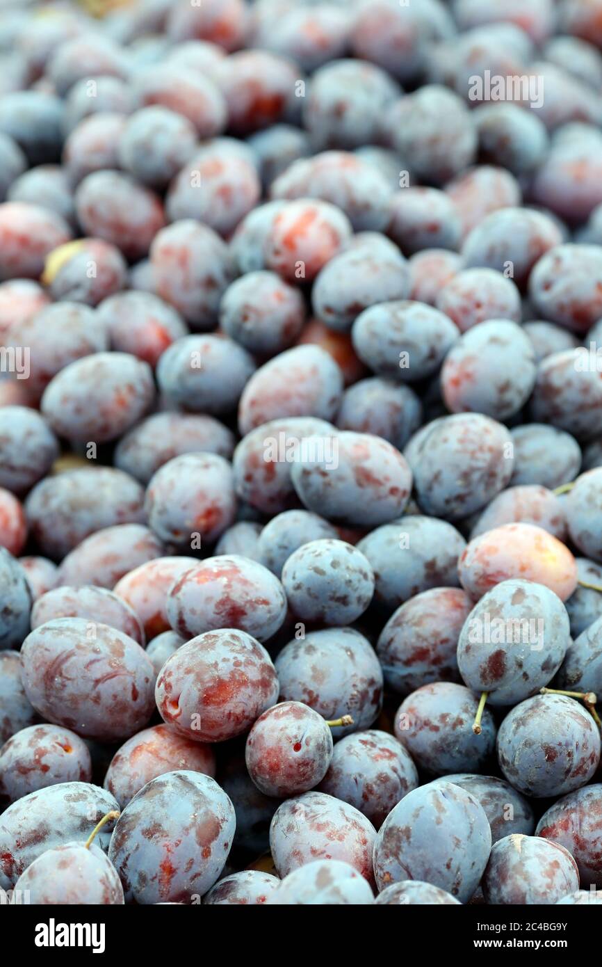 Prunes biologiques à vendre sur le marché Banque D'Images