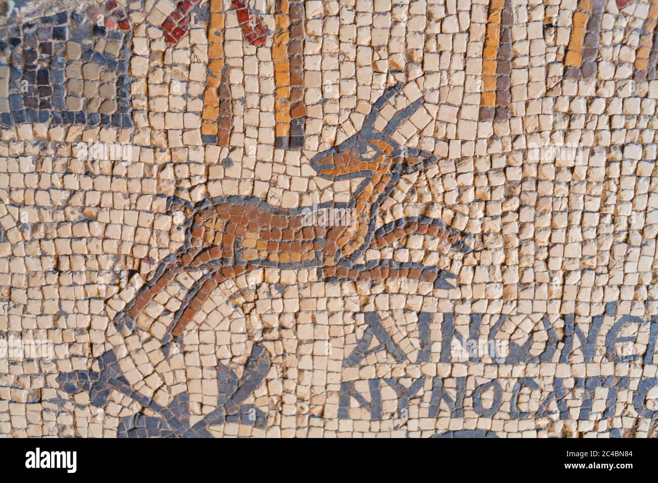Carte en mosaïque de la Terre Sainte, 560, église grecque orthodoxe de Saint-George, Madaba, Jordanie Banque D'Images