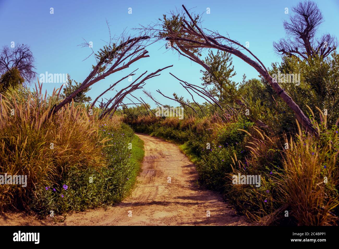 Love Lake, Al Qudra United Arab Emirates Desktop Banque D'Images