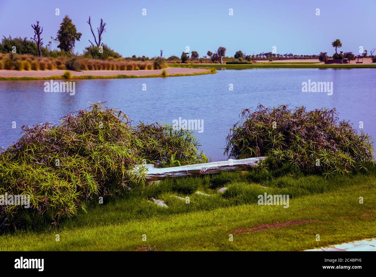 Love Lake, Al Qudra United Arab Emirates Desktop Banque D'Images