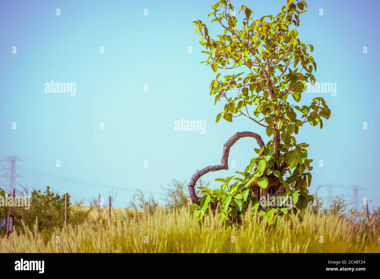 Love Lake, Al Qudra United Arab Emirates Desktop Banque D'Images