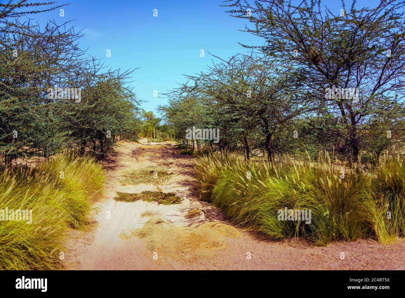 Love Lake, Al Qudra United Arab Emirates Desktop Banque D'Images