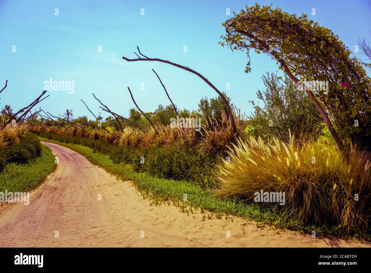 Love Lake, Al Qudra United Arab Emirates Desktop Banque D'Images