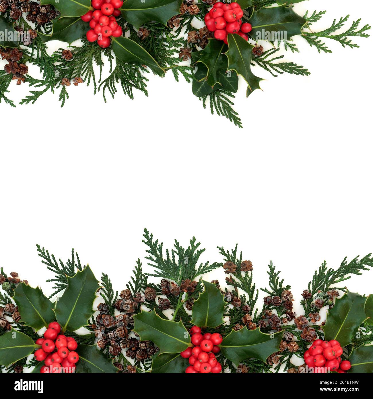Bordure d'arrière-plan hiver et Noël avec houx, feuilles de cyprès de cèdre et lierre. Flore naturelle pour les fêtes et le nouvel an sur blanc. Pose à plat. Banque D'Images