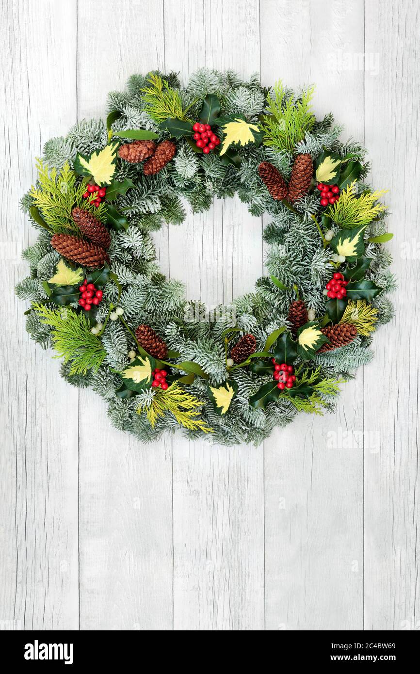 Couronne naturelle hiver et Noël avec sapin, cèdre, houx, lierre, GUI et  cônes de pin recouverts de neige sur fond de porte en bois blanc rustique  Photo Stock - Alamy