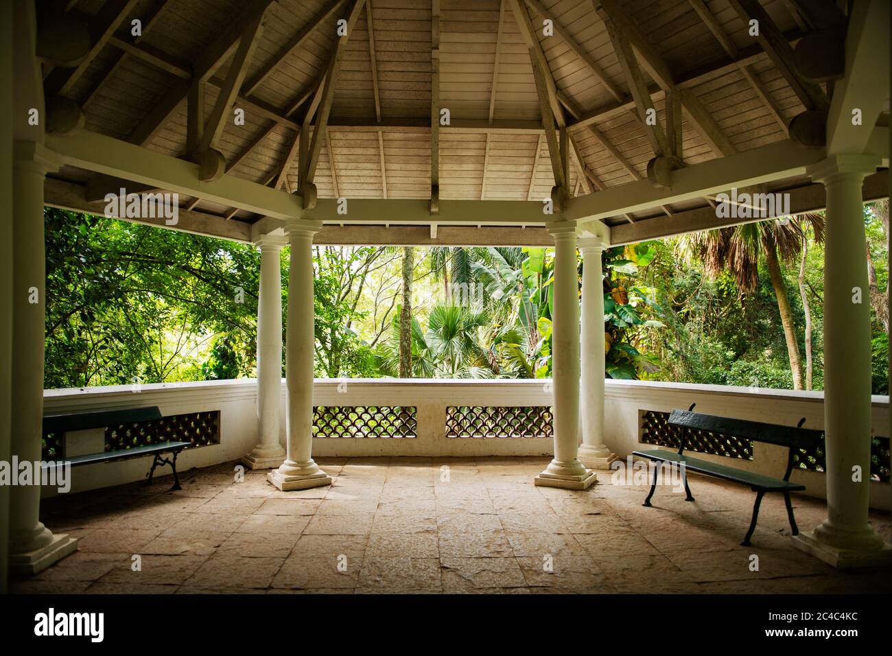 Terrasse avec vue sur un jardin tropical dans le parc Jardim botânico, un jardin botanique de Rio de Janeiro, Brésil Banque D'Images