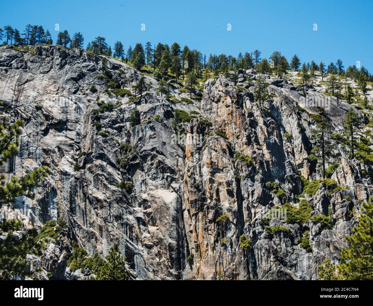 Falaises bordées d'arbres dans le parc national de Yosemite, comté de Mariposa, Californie, États-Unis Banque D'Images