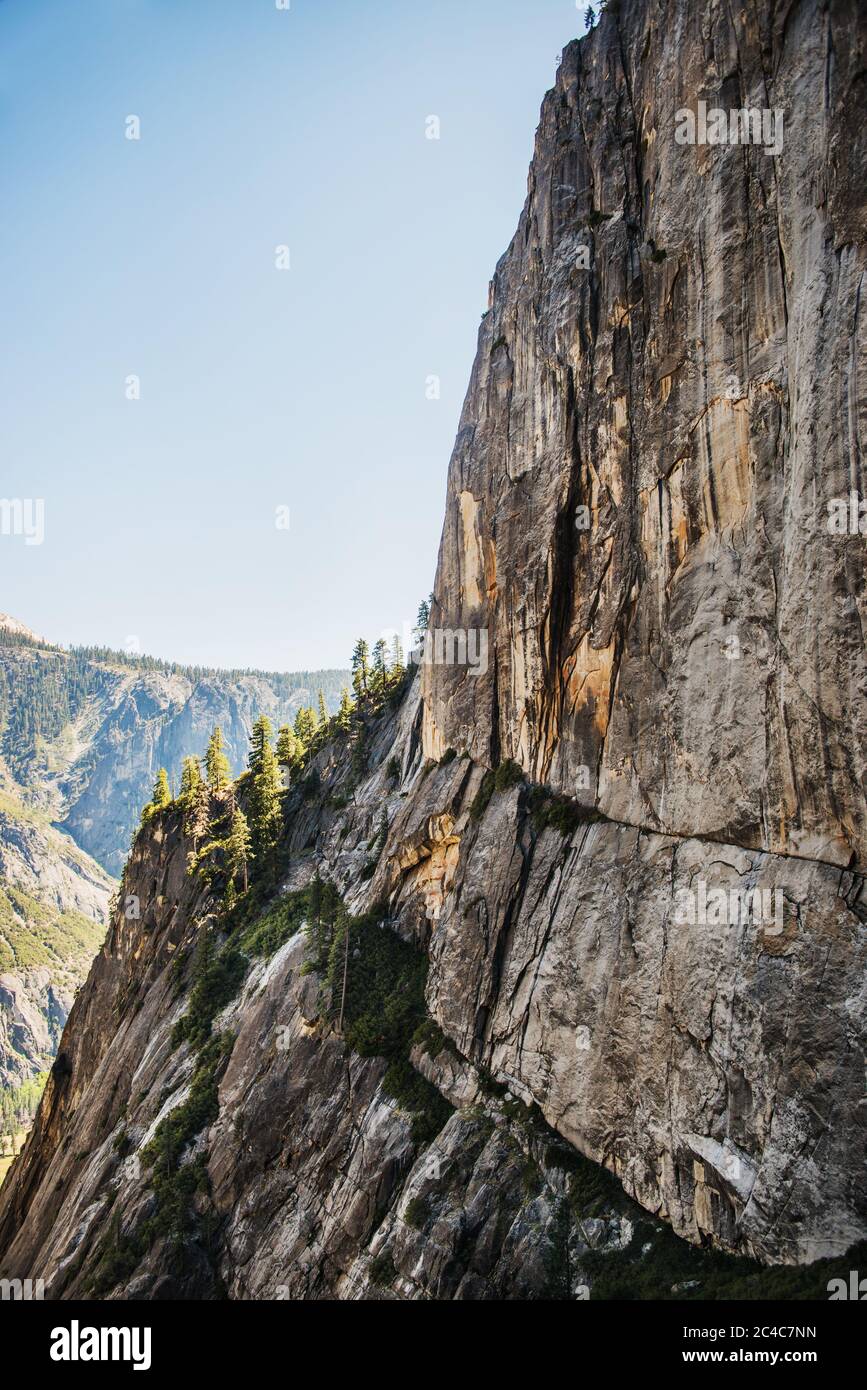 Côté falaise dans le parc national de Yosemite, Californie, États-Unis Banque D'Images