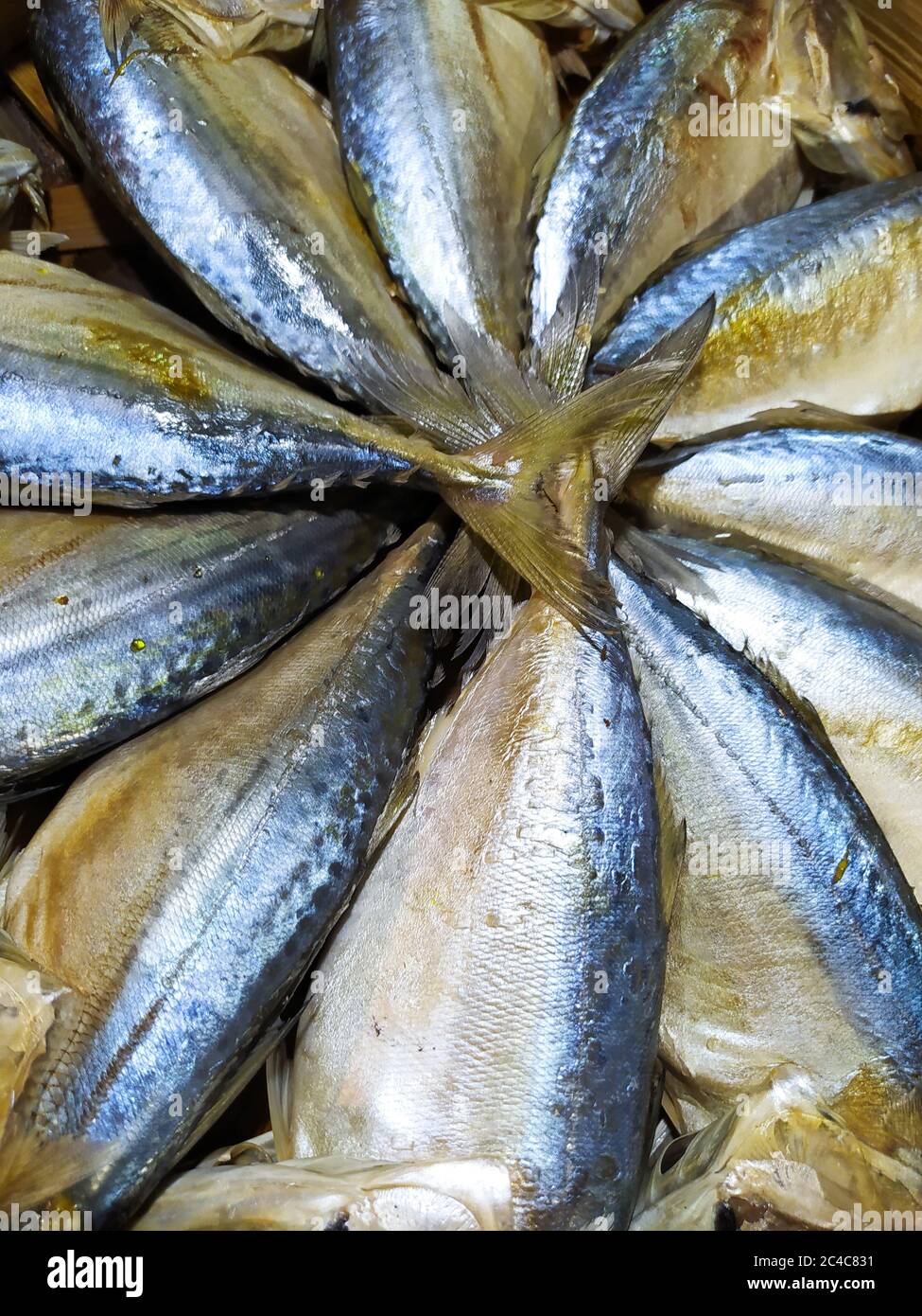 Le magnifique poisson de maquereau était vendu sur le marché, Bangkok Thaïlande Banque D'Images