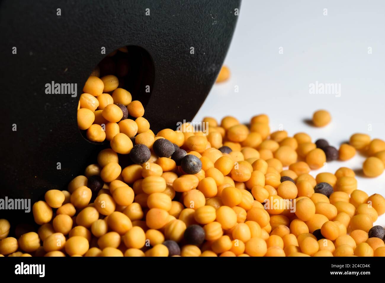 Comprimés de médecine de couleur jaune et noire se déversant dans un contenant à fond blanc Banque D'Images