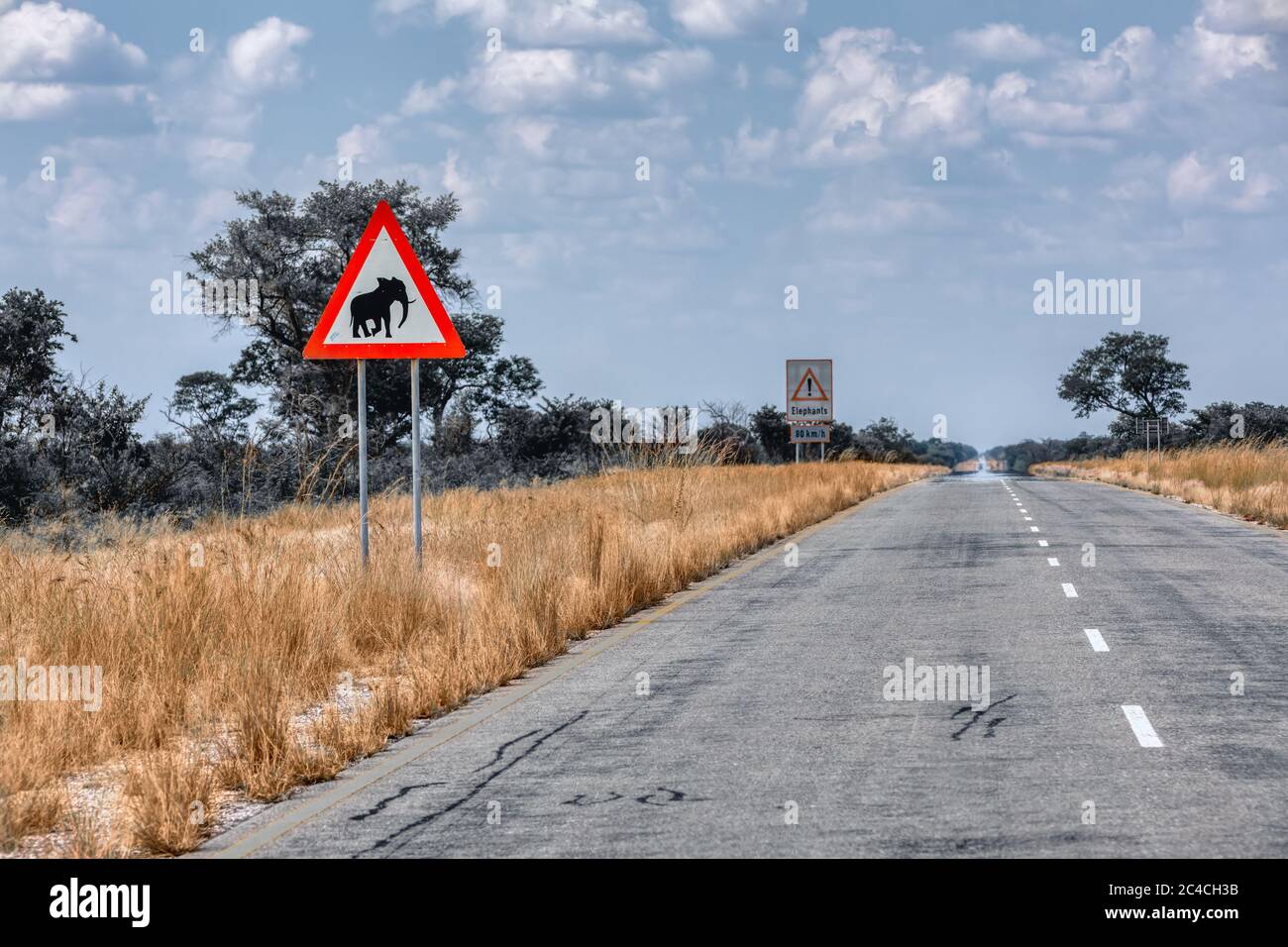 Éléphants traversant le panneau d'avertissement, route de Namibie sur la bande de Caprivi Banque D'Images