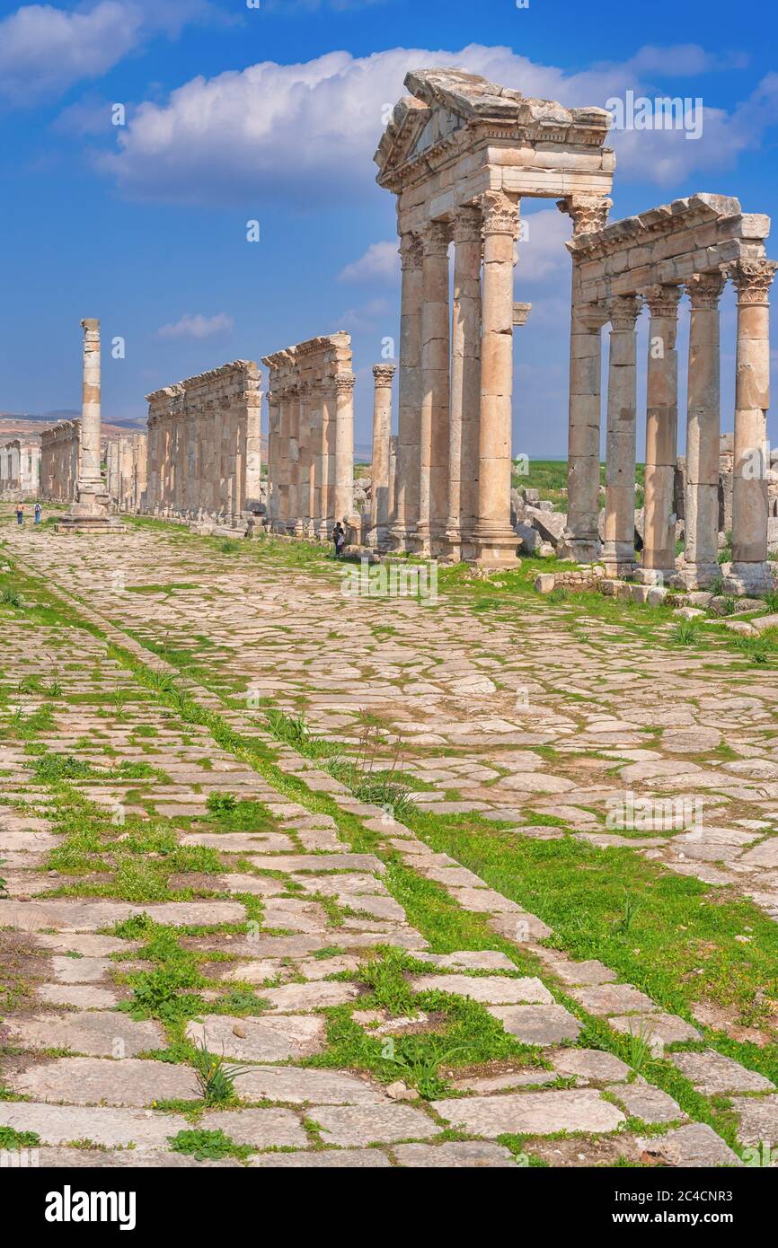 Ville antique d'Apamea, Apameia, Afamia, Syrie Banque D'Images