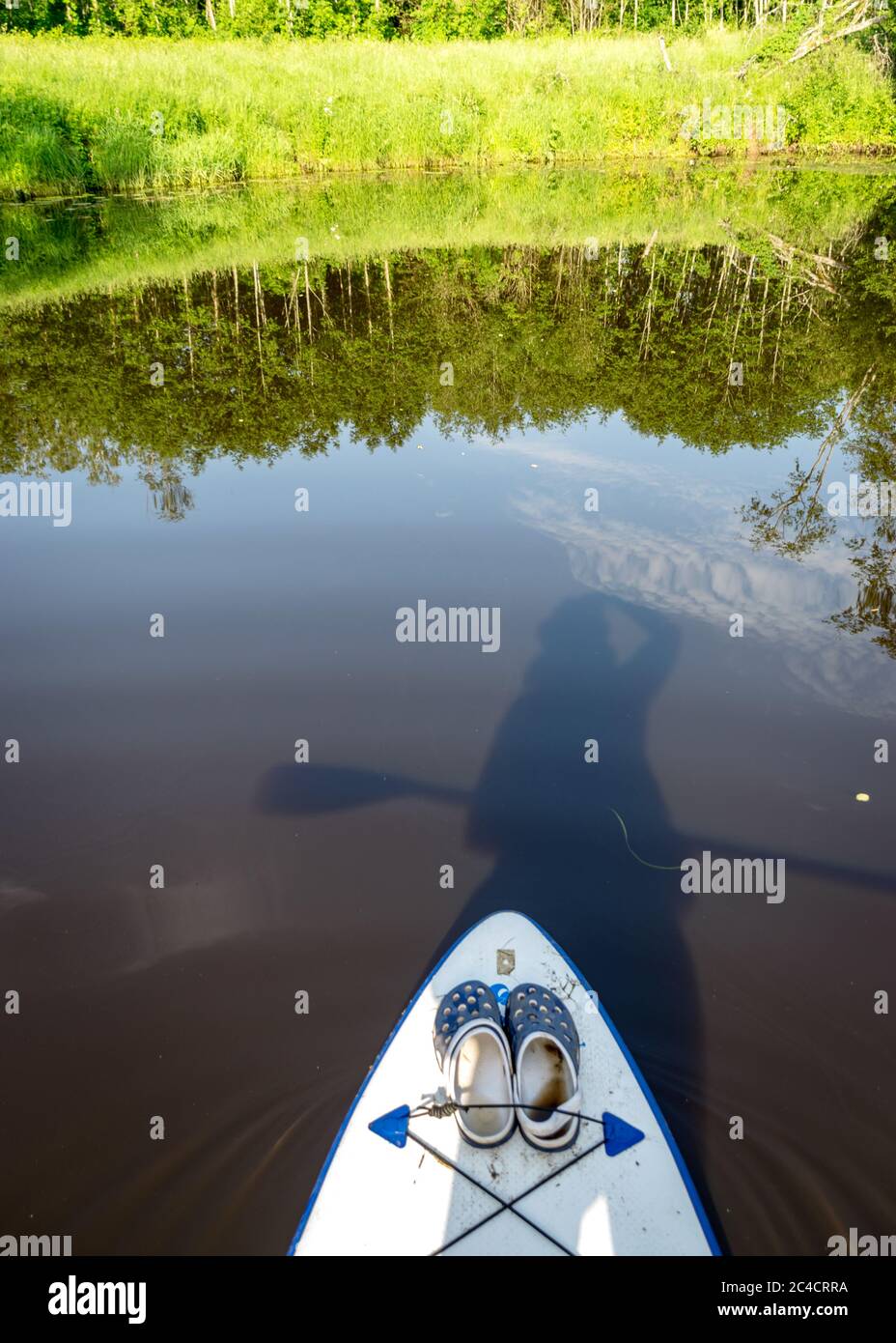 vue depuis le paddle-board debout sur la rive d'une petite rivière sauvage, vue sur la rivière sauvage verte, réflexions dans l'eau de la rivière, été Banque D'Images