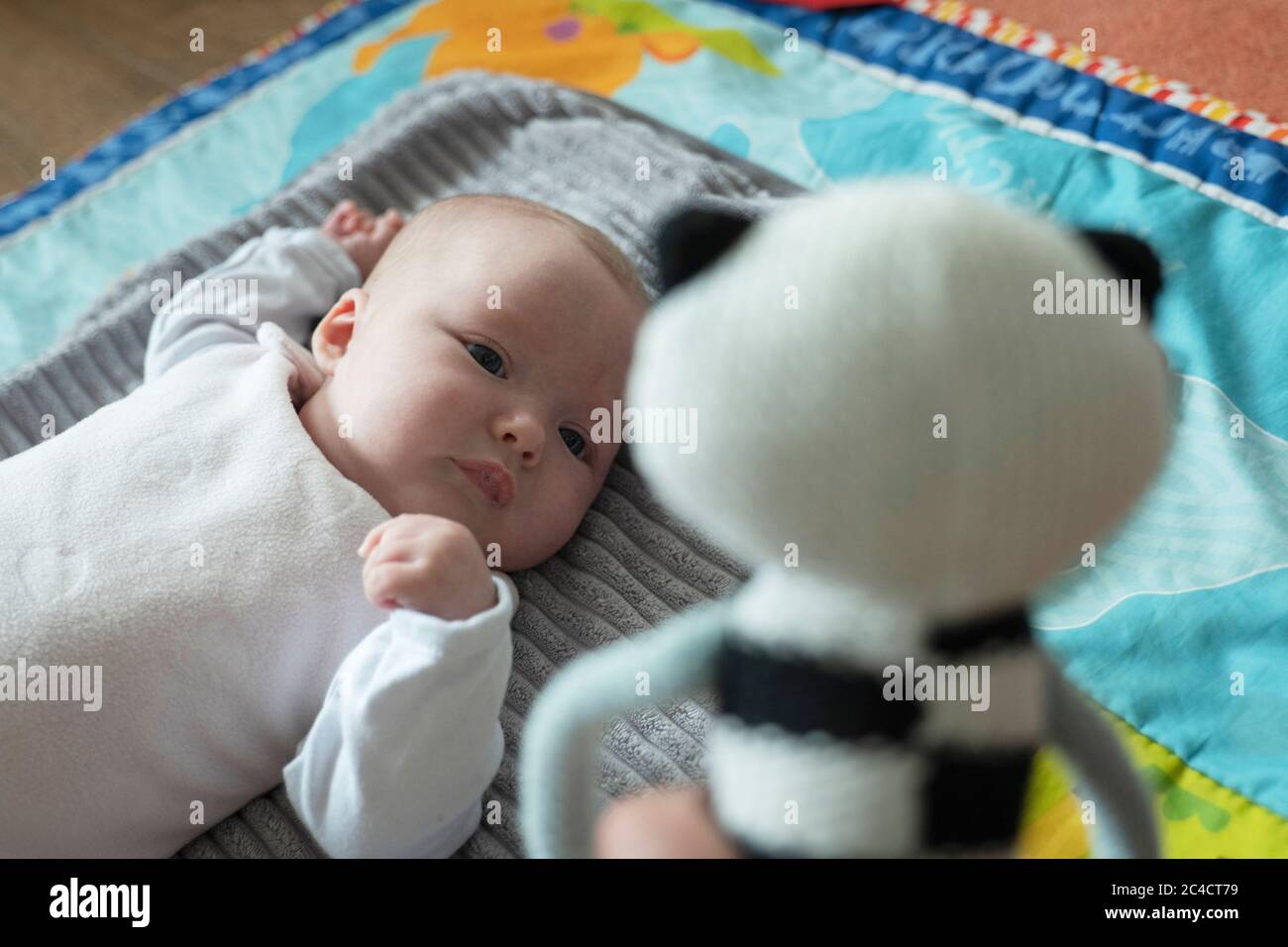 Fille Jumelle Banque D Image Et Photos Alamy