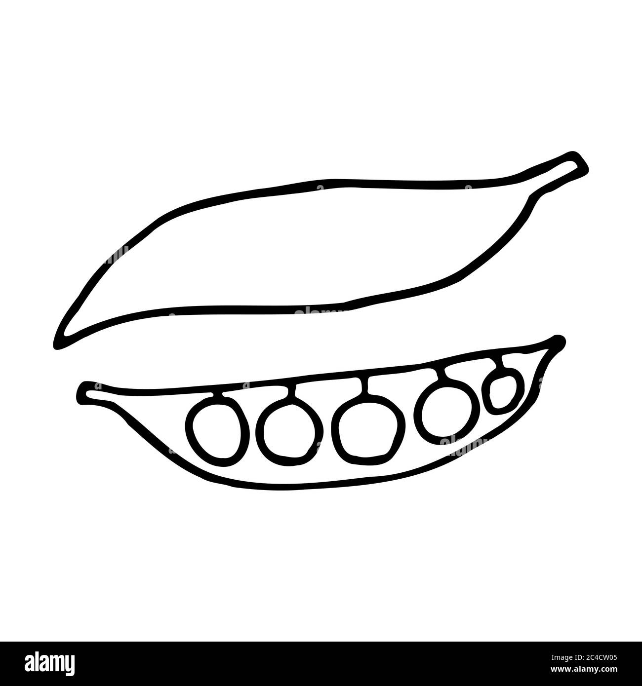 Gousse de pois. Icône de bordure dessinée à la main. Transparent isolé sur fond blanc. Illustration vectorielle pour cartes de vœux, affiches, patchs Illustration de Vecteur