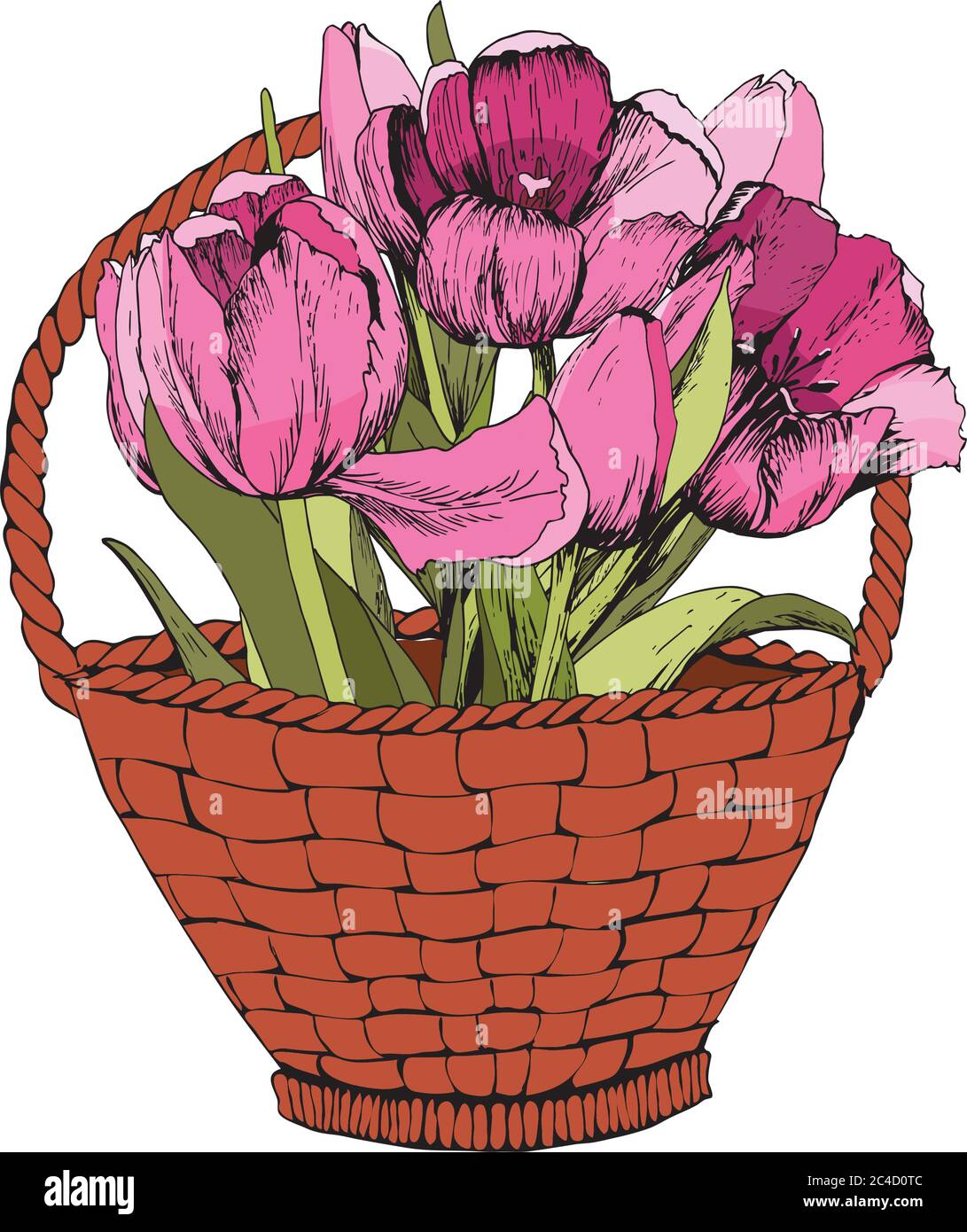 Panier avec tulipes roses colorées. Illustration vectorielle. Ambiance printanière. Illustration de Vecteur