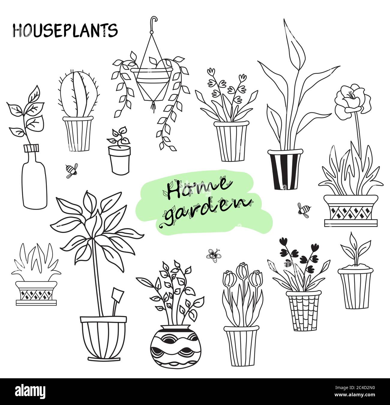 Ensemble de jolies plantes d'intérieur en pots. Maison de fleurs et de loisirs humains. Ensemble botanique - beaucoup de pots de fleurs - cactus, tulipes, fleurs, plantules, aloès Illustration de Vecteur