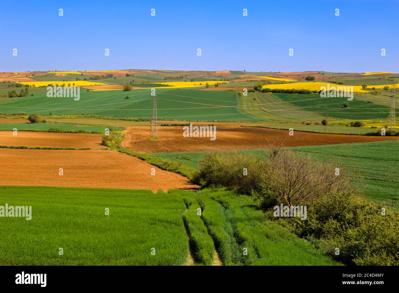 Saison de récolte dans les fermes de maïs et de tournesol de la province de Tekirdag en Turquie, fermes vides et pleines. Terres cultivées, vides et pleines. Banque D'Images