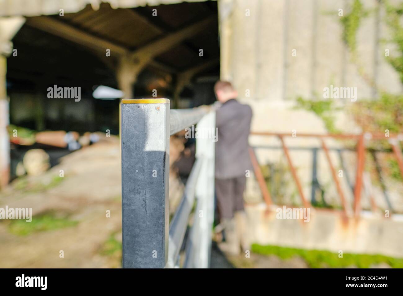 Foyer peu profond d'une grande porte en métal à l'entrée d'un hangar à vache. Un jeune agriculteur mâle est vu fixer la porte avant de sortir un tracteur. Banque D'Images