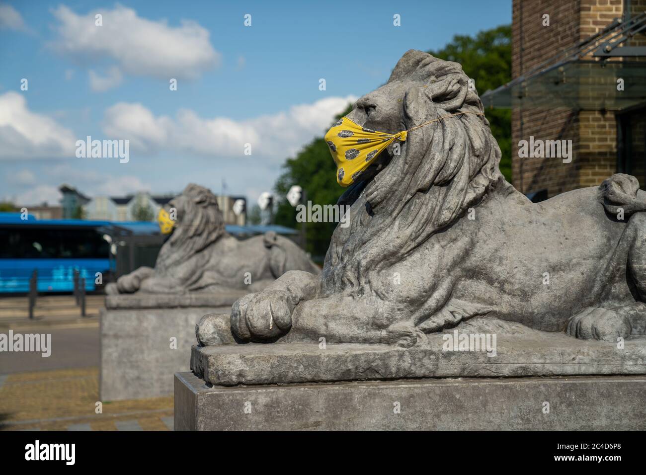 EMMELOORD, PAYS-BAS - 27 mai 2020 : les Lions de la gare routière d'Emmeloord sont ornés de masques jaunes faits à la main à cause du virus Corona p Banque D'Images