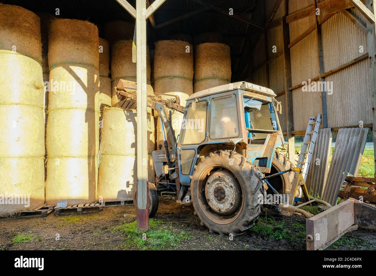 Un agriculteur vu dans son tracteur, sur le point de ramasser une balle de  foin ronde très grande et lourde à l'aide d'une fourche à l'avant de son  tracteur Photo Stock -