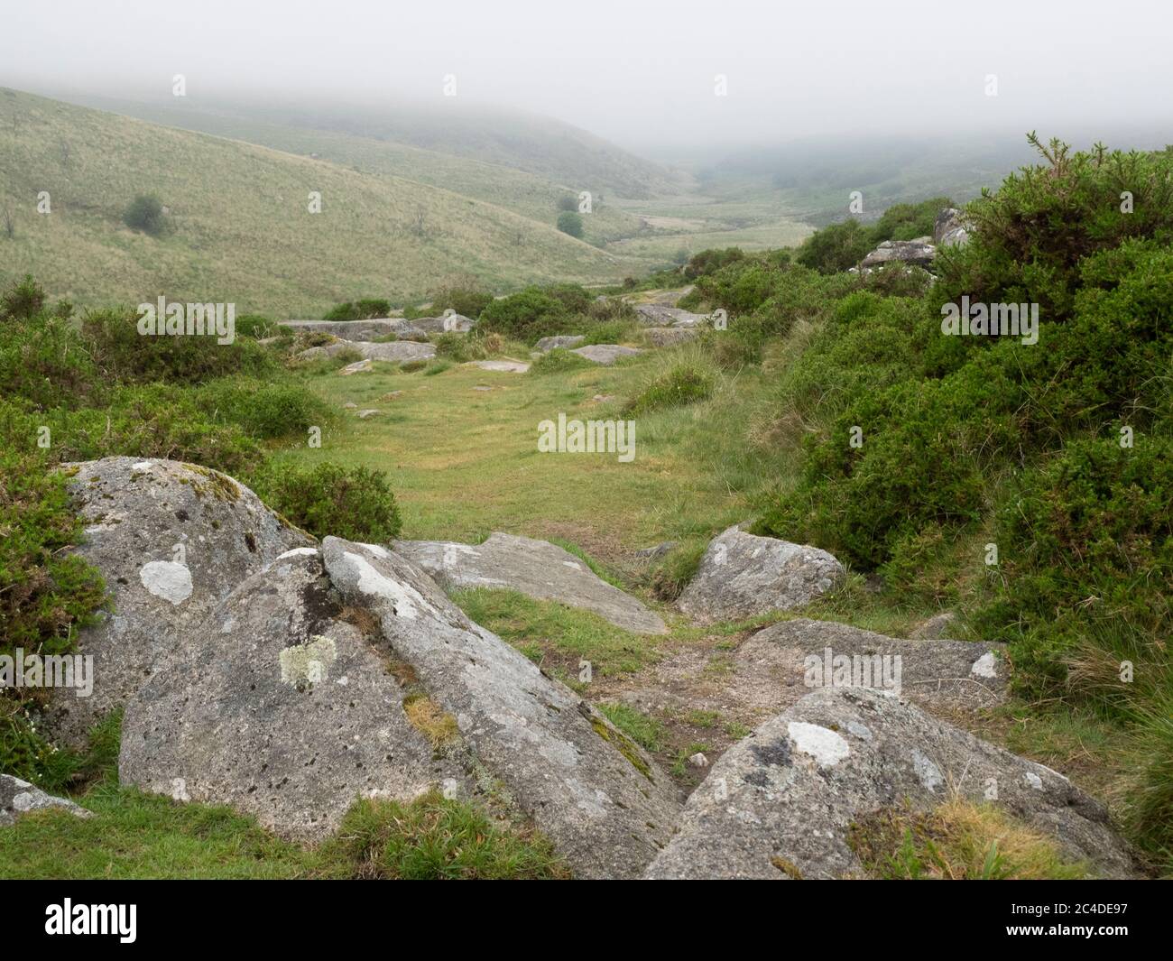 West Dart River avec brouillard dans la vallée, Dartmoor, Devon, Royaume-Uni Banque D'Images