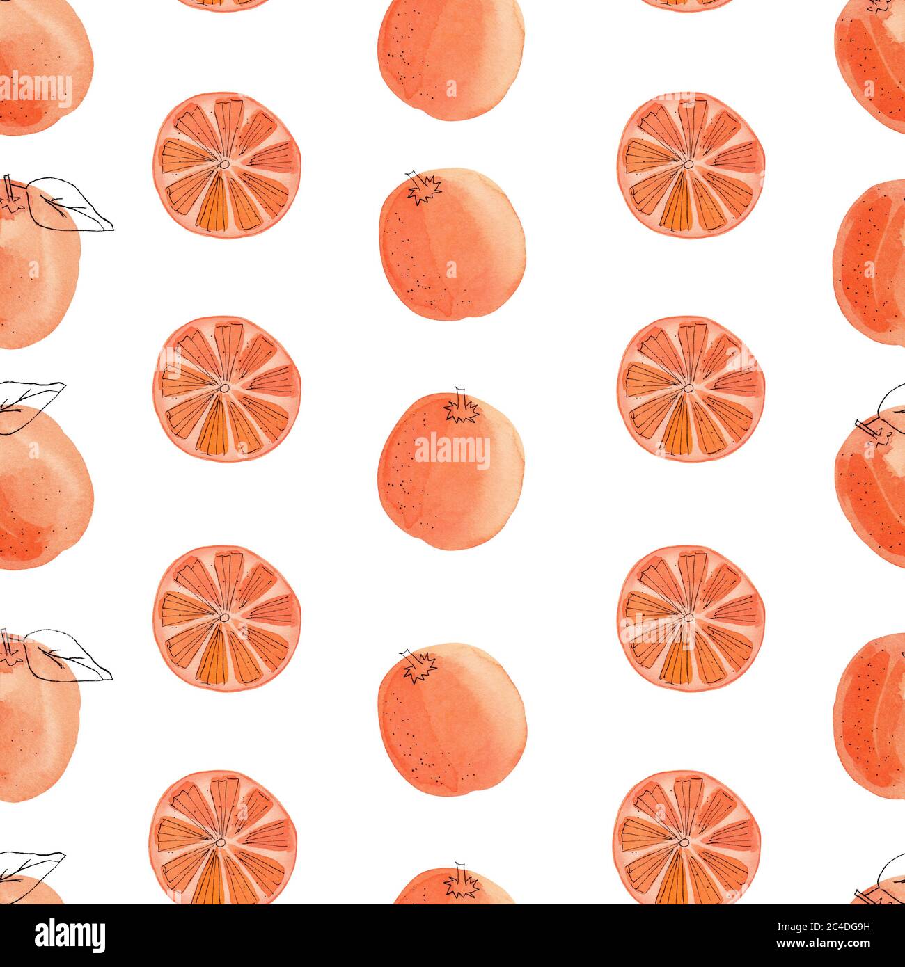 Papier numérique rouge orange fruit. Illustration aquarelle à motif transparent. Clipart d'été isolé sur fond blanc. Graphiques pour la décoration de cuisine, tex Banque D'Images