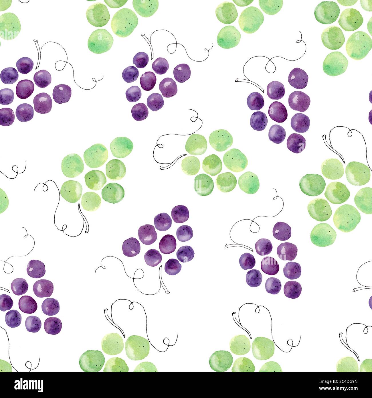 Aquarelle raisins fruit clipart. Papier numérique à motif transparent. Illustration dessinée à la main isolée sur fond blanc. Motifs pour la décoration, textil Banque D'Images