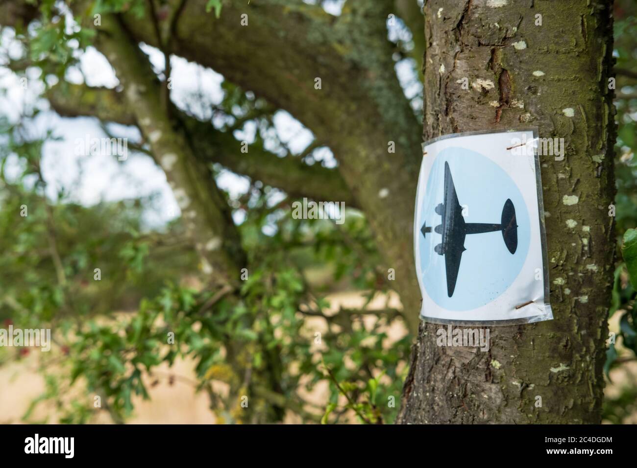 Célèbre panneau d'avion Pathfinder vu attaché à un arbre. La promenade  Pathfinder est une longue promenade circulaire. L'avion représente un  bombardier léger WW2 RAF Photo Stock - Alamy
