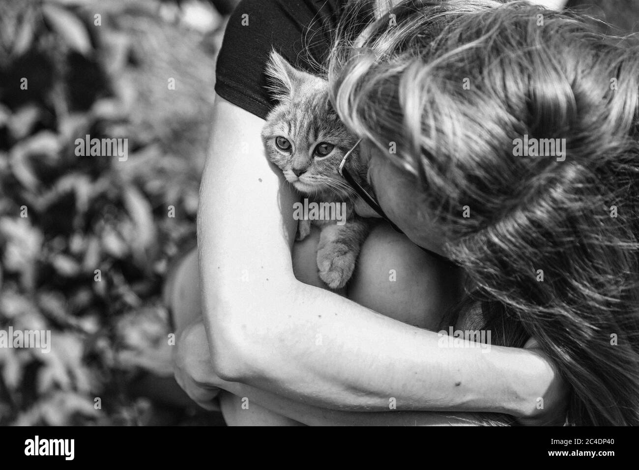 Jeune femme qui embrasse un chaton de la race Scottish Straight. Photo en noir et blanc à l'extérieur. Photo de haute qualité Banque D'Images