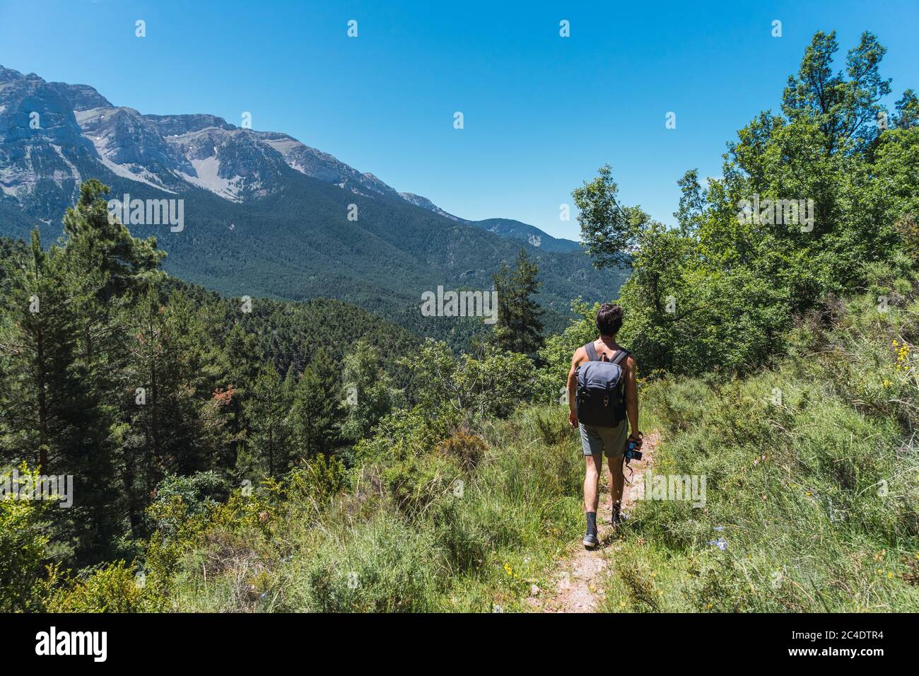 Jeune photographe masculin avec sac à dos, randonneur, marchant dans les montagnes, à l'intérieur de la forêt sauvage tout en regardant le Cadi Moixero, Pyrénées. Banque D'Images
