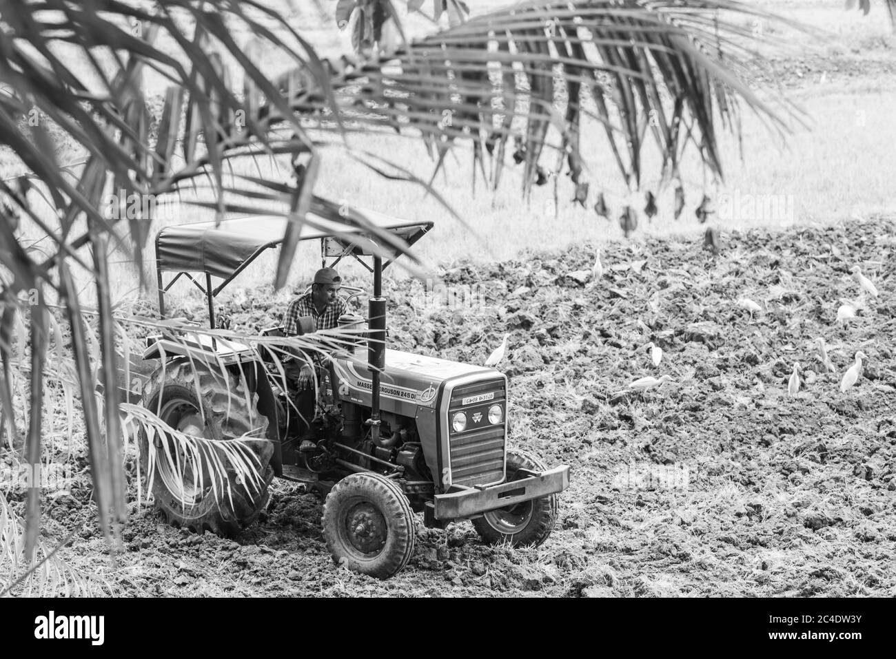 SOUTH Goa, INDE - 20 mai 2020 : vue du paysage agricole à Goa/Inde avec tracteur en premier plan. Agriculteur cultivant des terres agricoles avec un tracteur/une machin Banque D'Images