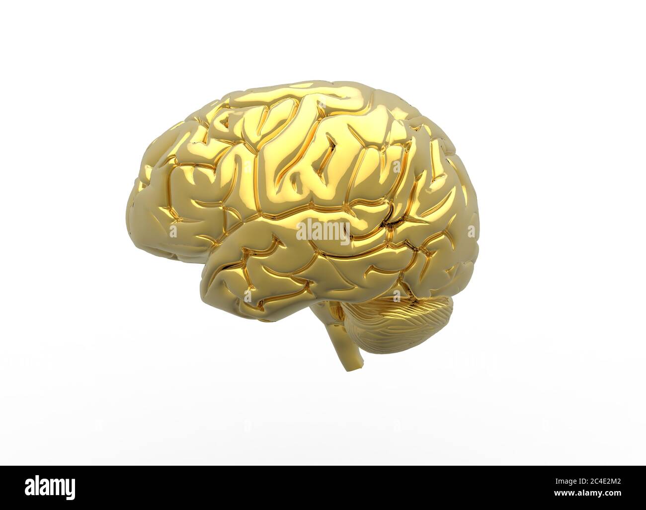 Rendu 3D du cerveau en couleur or Banque D'Images