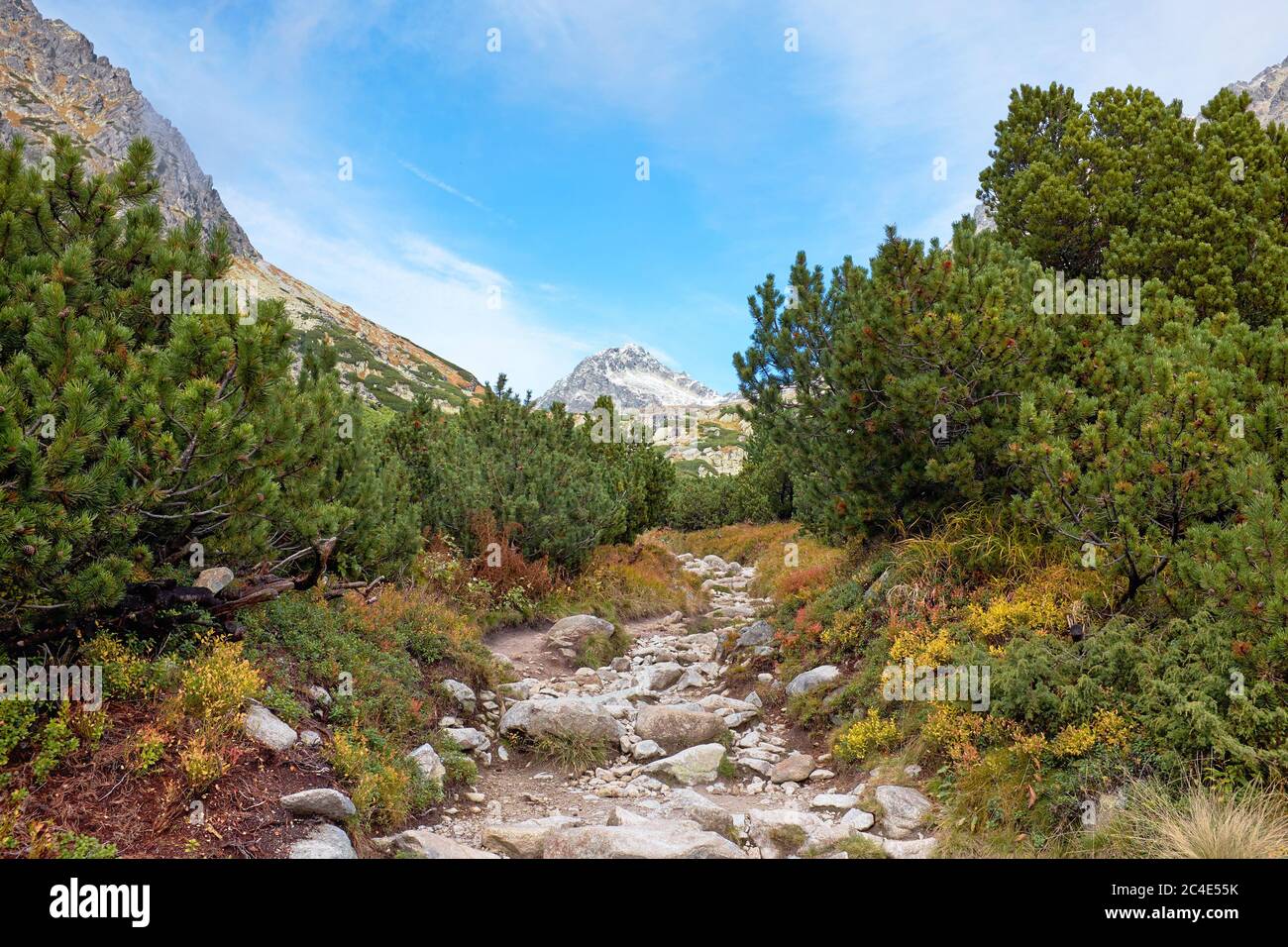 Sentier de randonnée en montagne d'automne près de Strbske pleso et de la cascade de Skok dans le parc national de High Tatras en Slovaquie Banque D'Images