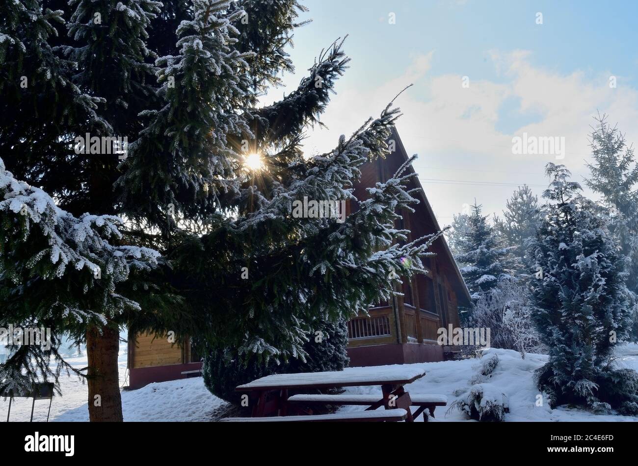 Chalet en bois d'hiver dans la forêt de pins couverte de neige pendant l'hiver en Transylvanie. Banque D'Images