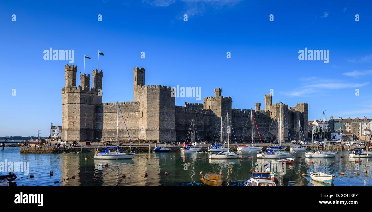 Château de Caernarfon Caernarfon Gwynedd au Pays de Galles Banque D'Images