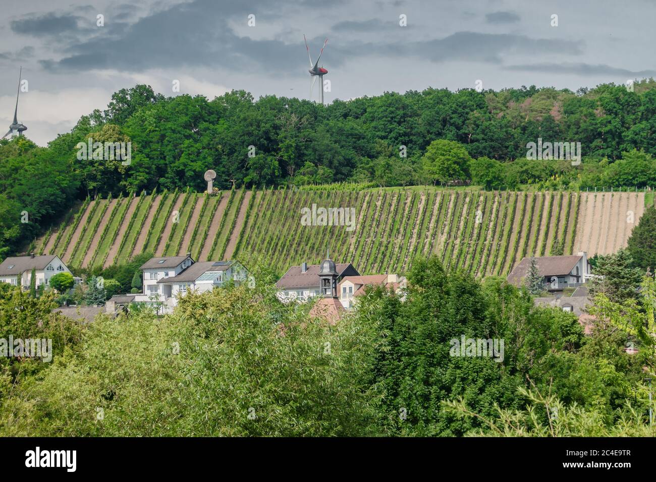 Vignobles sur les collines en pente de Sommerhausen à la rivière main, Allemagne Banque D'Images