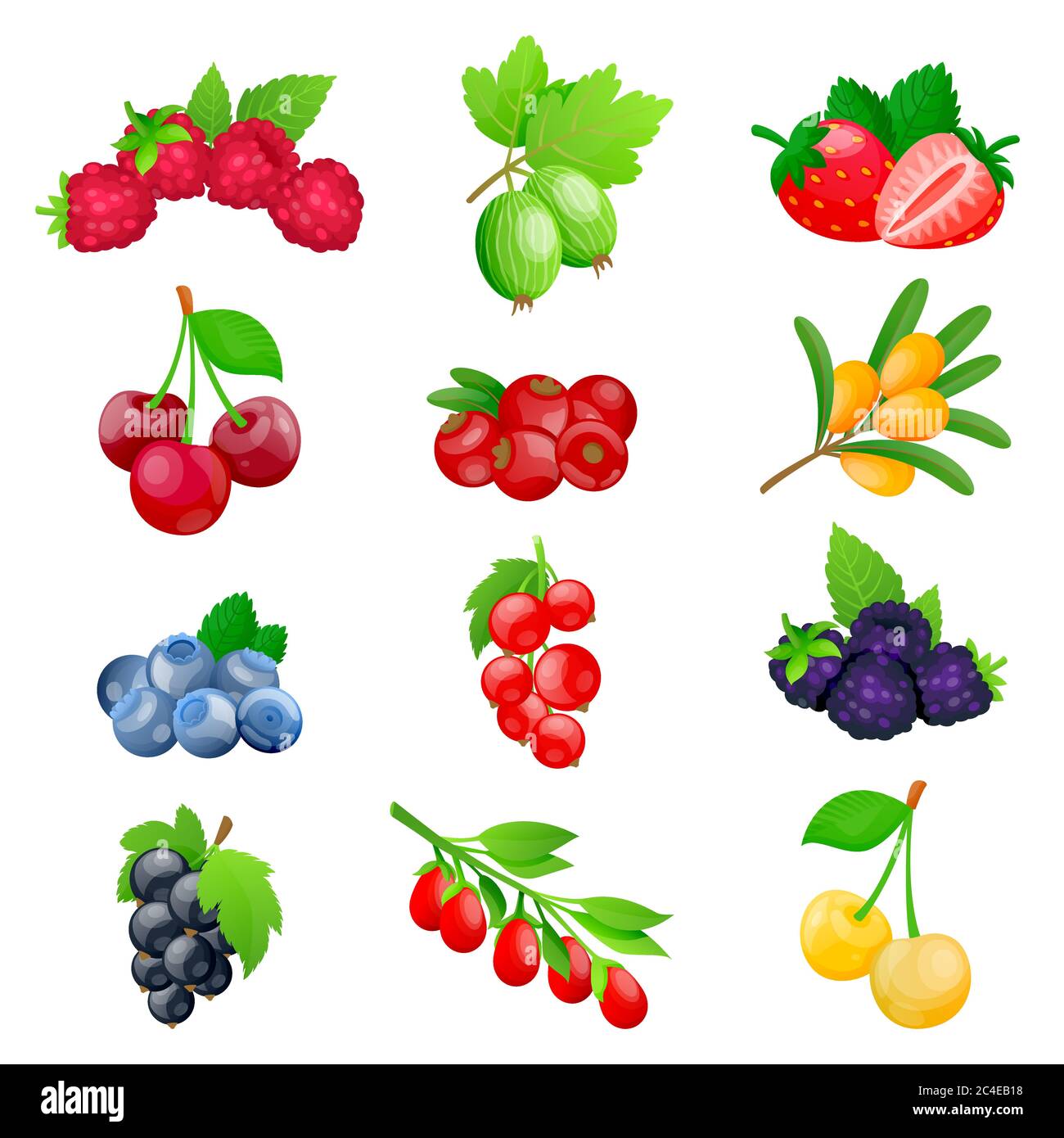 Collection de fruits et baies juteuses. Illustration de dessin animé vectoriel plat. Cerise fraîche, fraise, canneberge, mûre, fraise isolée sur wh Illustration de Vecteur