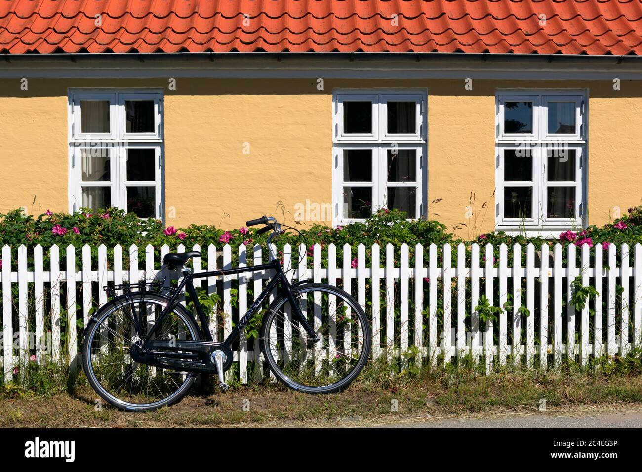 Maisons jaunes traditionnelles avec toits de tuiles rouges et clôtures de piquets blancs, Skagen, Jutland, Danemark, Europe Banque D'Images