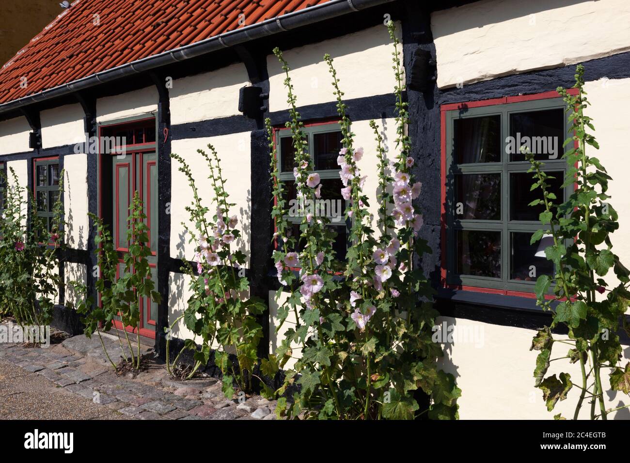 Il est situé à l'extérieur d'un cottage danois typique à colombages, le long d'Algade, Saeby, Jutland, Danemark, Europe Banque D'Images