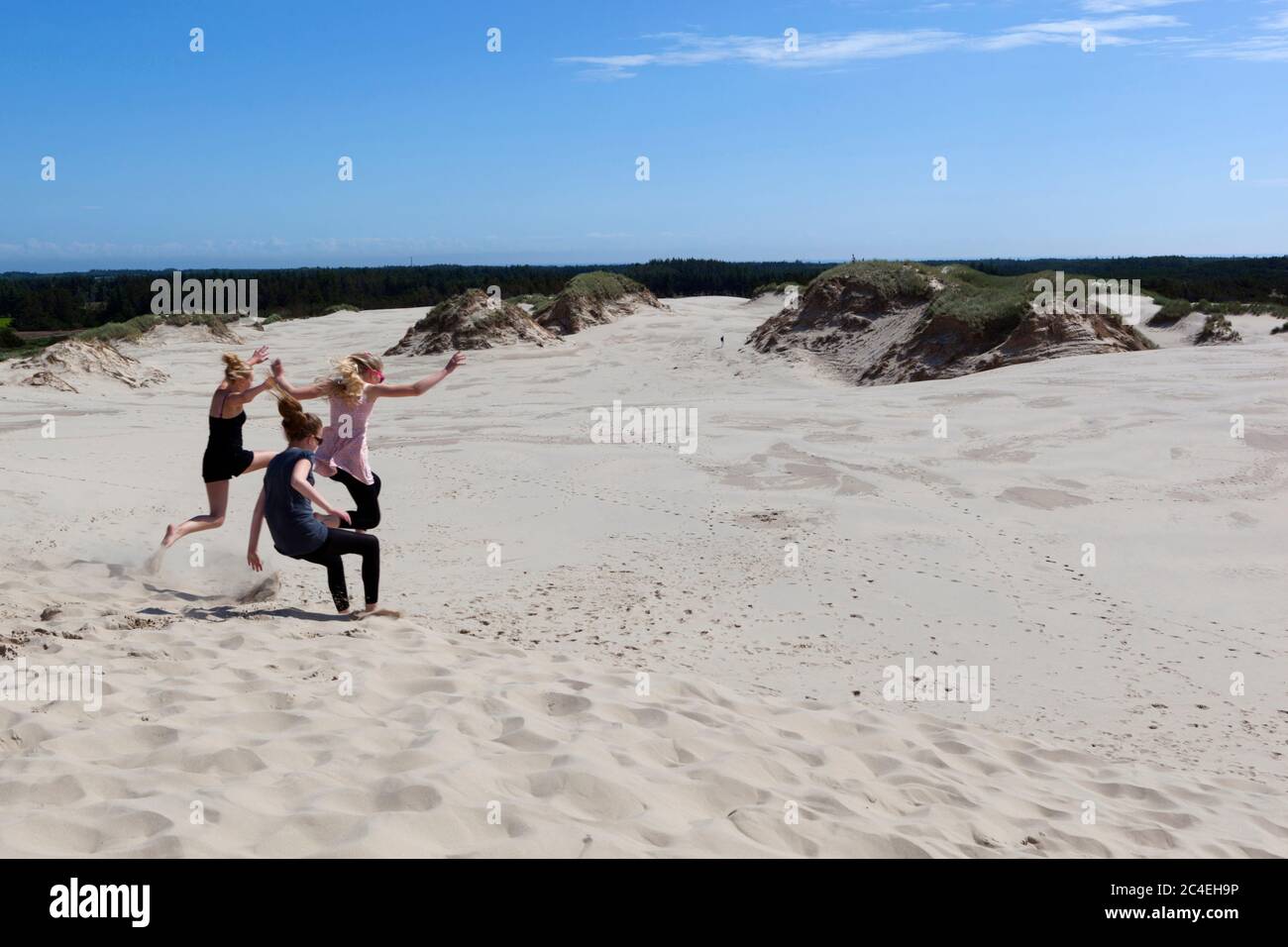 Rabjerg Mile (la plus grande étendue de dunes de sable dérivant du Danemark), près de Skagen, Jutland, Danemark, Europe Banque D'Images