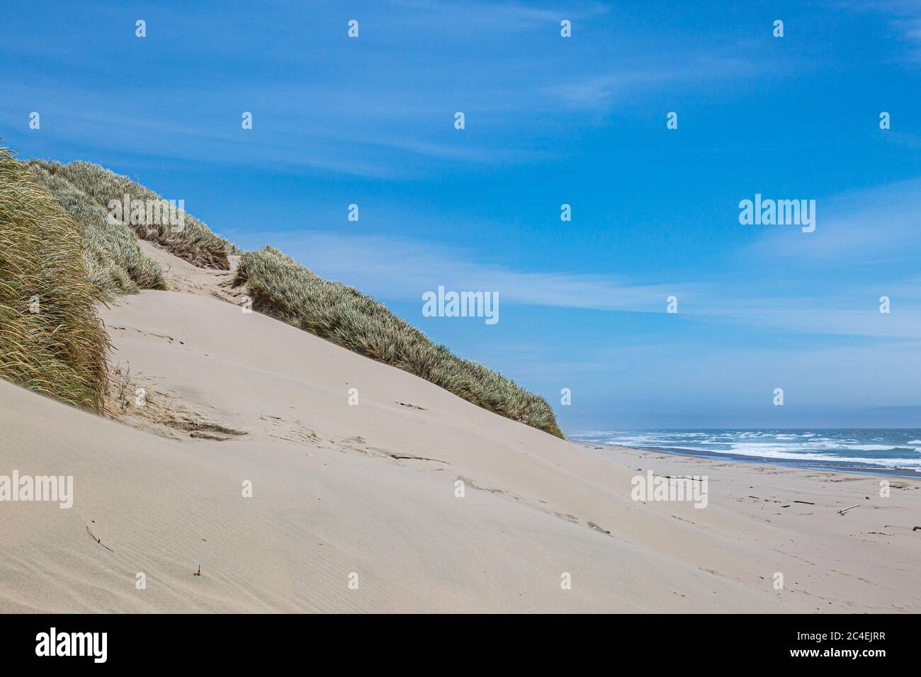 Une plage de sable sur la côte de l'Oregon, le jour d'été ensoleillé Banque D'Images