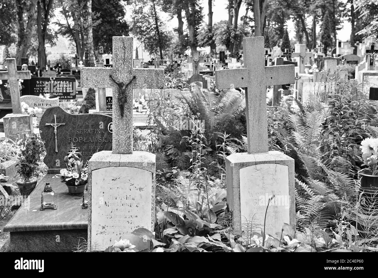 Cimetière municipal d'Orneta, Warmia, un territoire historique de la Voïvodie de Warmian-Masurien. Banque D'Images