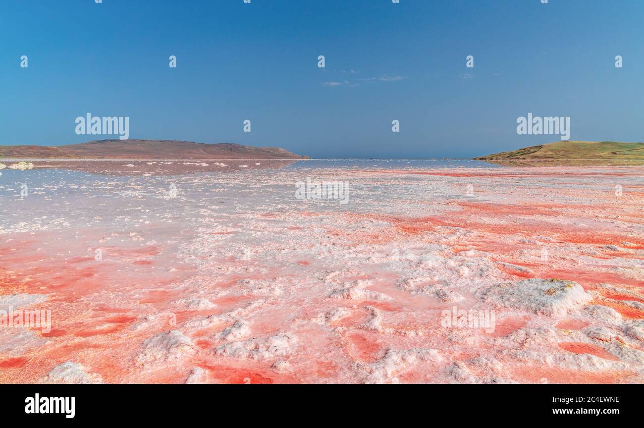 Saumure et sel d'un lac rose Koyash coloré par des microalgues Dunaliella salina, célèbre pour ses propriétés antioxydantes, enrichissant l'eau par le bêta-carotène Banque D'Images