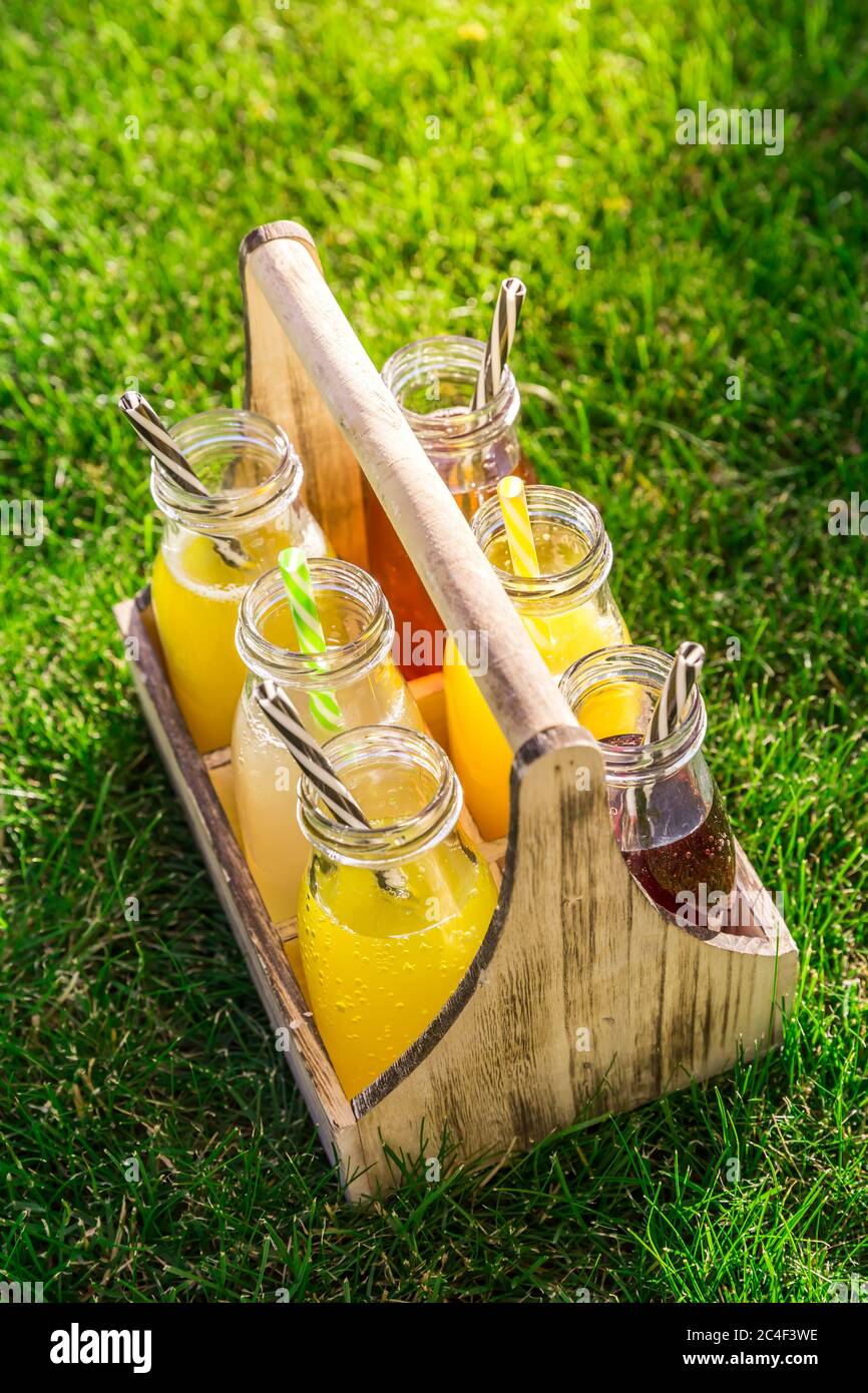 Assortiment de limonade et de thé glacé en bouteilles dans un rack en bois dans l'herbe Banque D'Images