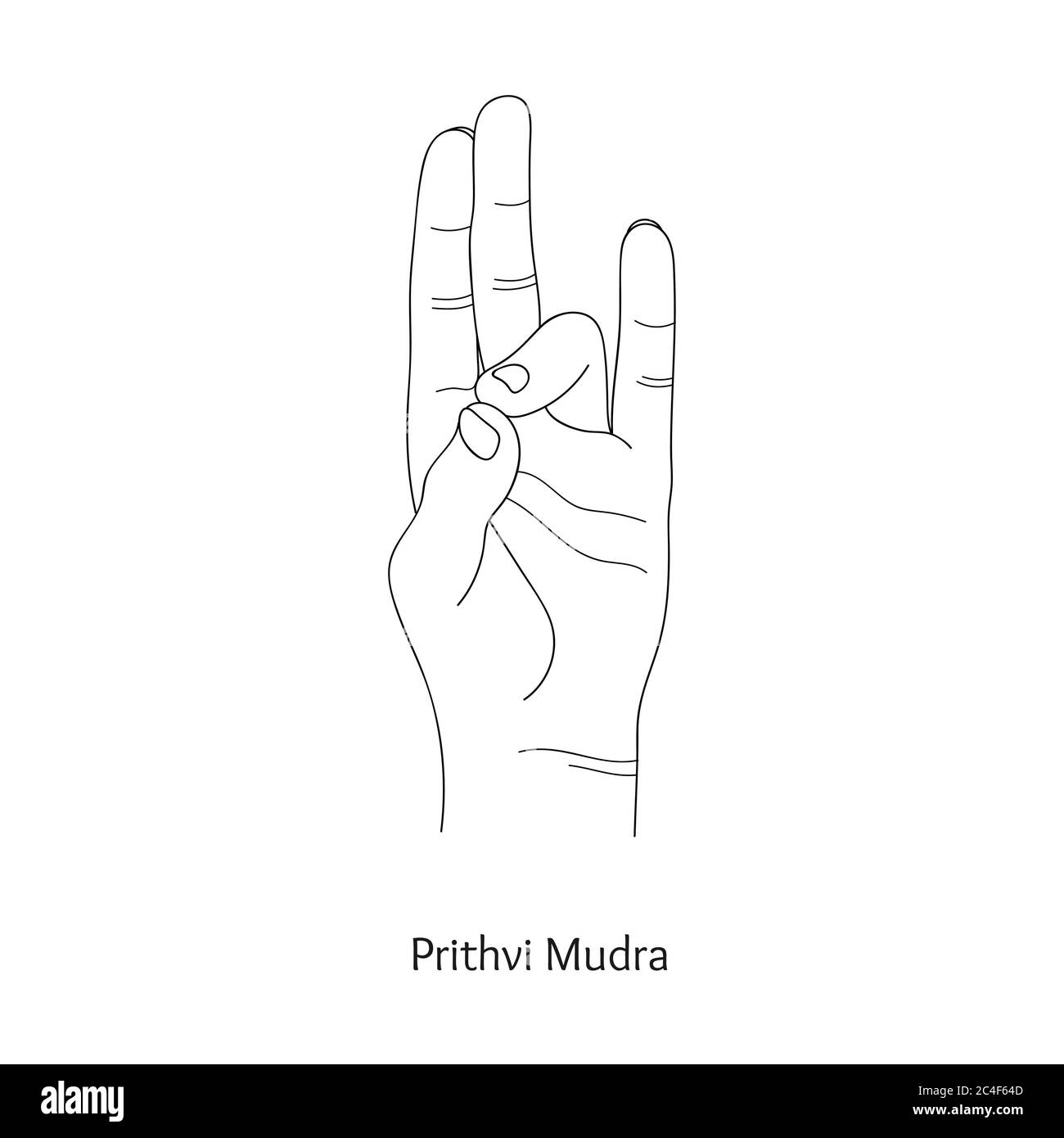 Prithvi Mudra / geste de la Terre. Vecteur. Illustration de Vecteur