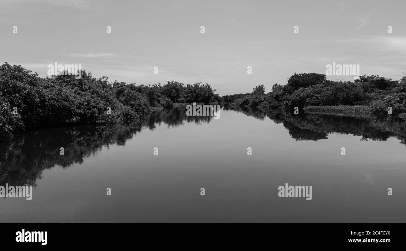 Un reflet d'arbres denses et d'une végétation luxuriante près de l'eau est un paysage typique des terres humides des territoires du nord de l'Australie. Banque D'Images